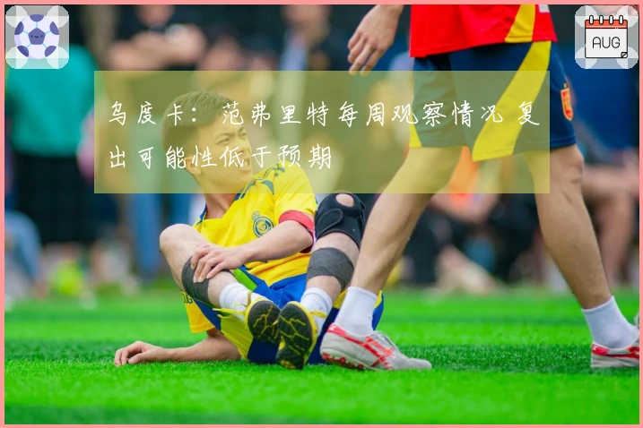 乌度卡：范弗里特每周观察情况 复出可能性低于预期