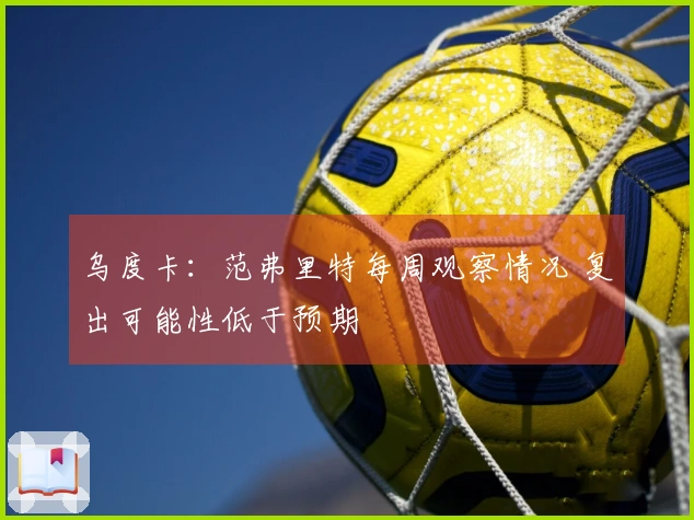 乌度卡：范弗里特每周观察情况 复出可能性低于预期